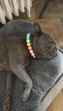 Load image into Gallery viewer, Pastel Rainbow Acrylic Bead Collar