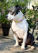 Load image into Gallery viewer, Akira's Pink Lemonade š©·š Bead Collar