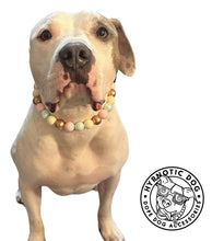 Load image into Gallery viewer, Sugar & Spice Bead Collar