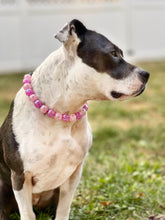 Load image into Gallery viewer, š§ 19" Slip On (Black O-Ring) Frozen Berry Crackle Bead Collar - PRE-MADE/FINAL SALE