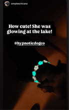 Load image into Gallery viewer, š¼ Pink & Blue Glow Daisies š¼ Silicone Bead Collar