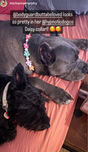 Load image into Gallery viewer, š¼ Multicolor Daisies š¼ Silicone Bead Collar