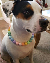 Load image into Gallery viewer, Pastel Rainbow Acrylic Bead Collar