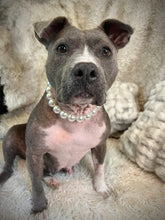 Load image into Gallery viewer, Classic White Pearls Acrylic Bead Collar