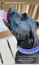 Load image into Gallery viewer, Purple Rain Triplo Acrylic Bead Collar