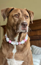 Load image into Gallery viewer, Pink Frosty ⛄️ Bead Collar