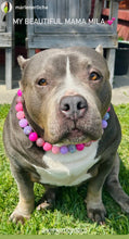 Load image into Gallery viewer, Pink Sugar Bead Collar