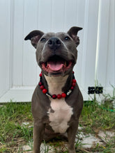 Load image into Gallery viewer, Michael šŖ Halloween Bead Collar