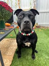 Load image into Gallery viewer, Holly Jolly Christmas Bead Collar