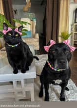 Load image into Gallery viewer, š¦ Y2K Butterfly Bead Collar
