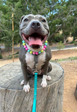 Load image into Gallery viewer, Neon Candyland Bead Collar