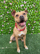 Load image into Gallery viewer, Strawberry Shortcake Bead Collar
