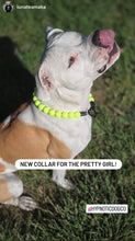 Load image into Gallery viewer, Neon Highlighter Yellow Acrylic Bead Collar