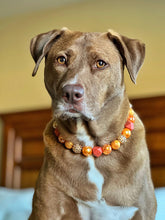Load image into Gallery viewer, Autumn Leaves š Bead Collar