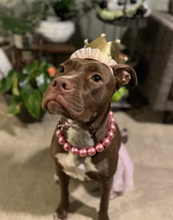 Load image into Gallery viewer, Chunky Rose Pink Pearls Acrylic Bead Collar