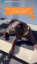 Load image into Gallery viewer, Orange Boo š» Halloween Glow Bead Collar
