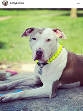 Load image into Gallery viewer, Neon Highlighter Yellow Acrylic Bead Collar