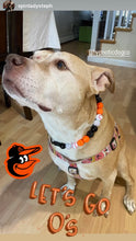 Load image into Gallery viewer, ⚾️ Baseball MLB Team Colors Bead Collar