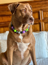 Load image into Gallery viewer, Midnight Cauldron Halloween Glow Bead Collar