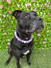 Load image into Gallery viewer, Purple Daisies Glam š¼ Silicone Bead Collar
