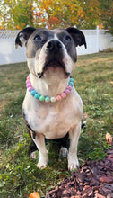 Load image into Gallery viewer, Pastel Stars ⭐️ Acrylic Bead Collar