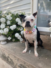 Load image into Gallery viewer, š¼ Multicolor Daisies š¼ Silicone Bead Collar