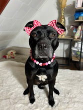 Load image into Gallery viewer, Love, Kitty š Bead Collar