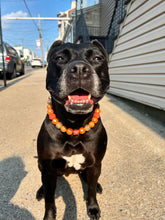 Load image into Gallery viewer, Autumn Leaves š Bead Collar