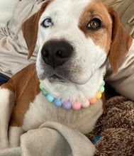 Load image into Gallery viewer, Pastel Rainbow Acrylic Bead Collar