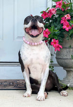 Load image into Gallery viewer, Pink Rodeo Bead Collar