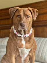 Load image into Gallery viewer, Pink Frosty ⛄️ Bead Collar