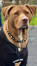 Load image into Gallery viewer, Tortoiseshell Ceramic Bead Collar