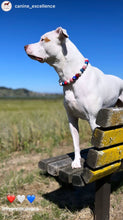 Load image into Gallery viewer, Americana Glam Bead Collar