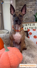 Load image into Gallery viewer, Autumn Leaves š Bead Collar