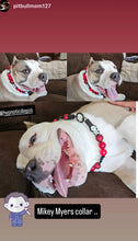 Load image into Gallery viewer, Michael šŖ Halloween Bead Collar