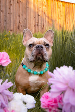 Load image into Gallery viewer, Sea Glass Acrylic Bead Collar
