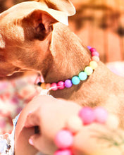 Load image into Gallery viewer, Boho Rainbow Acrylic Bead Collar