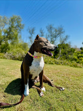 Load image into Gallery viewer, Akira's Pink Lemonade š©·š Bead Collar