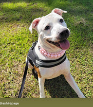 Load image into Gallery viewer, Blush Pink Rain Triplo Acrylic Bead Collar