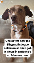 Load image into Gallery viewer, Orange Boo š» Halloween Glow Bead Collar