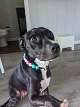 Load image into Gallery viewer, Bubblegum Acrylic Bead Collar