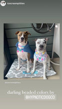 Load image into Gallery viewer, Bubblegum Acrylic Bead Collar