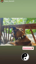 Load image into Gallery viewer, Yin & Yang ☯️ Bead Collar