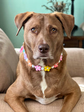 Load image into Gallery viewer, š¼ Multicolor Daisies š¼ Silicone Bead Collar