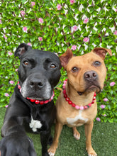 Load image into Gallery viewer, Strawberry Shortcake Bead Collar