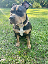 Load image into Gallery viewer, Rose Gold Champagne Bead Collar