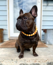 Load image into Gallery viewer, Caramel Resin Bead Collar