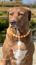 Load image into Gallery viewer, Caramel Resin Bead Collar
