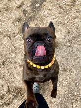 Load image into Gallery viewer, Caramel Resin Bead Collar