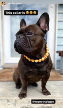 Load image into Gallery viewer, Caramel Resin Bead Collar